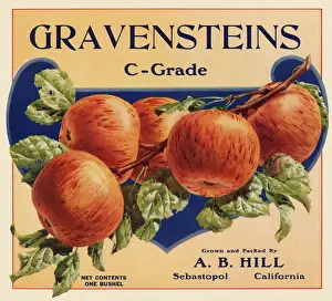 Ripe: Gravenstein Label