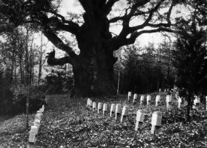 Oppression: Graves of the 1st World War in Lithuania, 1942