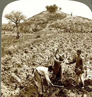 Stereo: Graves of Greek heroes who defeated Persians at Marathon