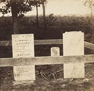 Tombstones: Gravestone in the Plantation no. 8 portion