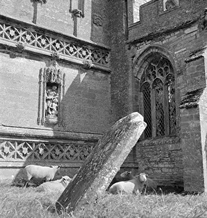 Embattled: Gravestones