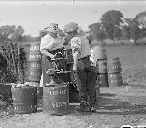 Cray: Grays Farm - weighing basket of hops