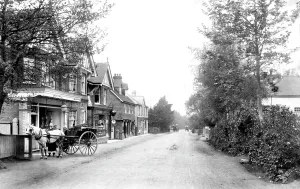 Headley: Grayshott, Headley Road 1906