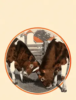 Graze: Grazing Cows