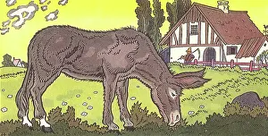 Writings: Grazing Donkey