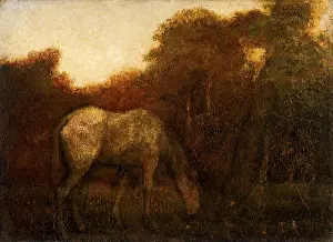 Equines: The Grazing Horse