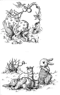 Storycard: The Great Apple Pie Day ' rabbit picking apples