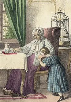 Caged: THE GREAT-AUNT