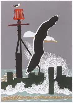 Backed: Great Black-backed Gull