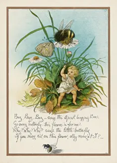 Feeling: GREAT BUZZING BEE BOYLE