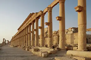 Tamar: Great Colonnade, Palmyra, Syria