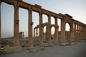Agora: Great Colonnade, Palmyra, Syria