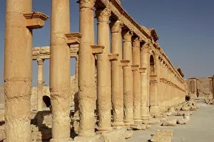 Agora: Great Colonnade, Palmyra, Syria