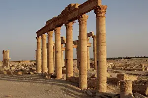 Tamar: Great Colonnade, Palmyra, Syria