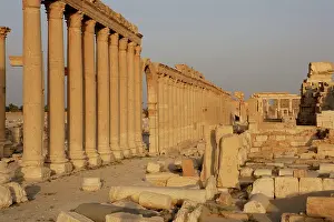 Agora: Great Colonnade, Palmyra, Syria