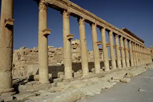 Tamar: Great Colonnade, Palmyra, Syria