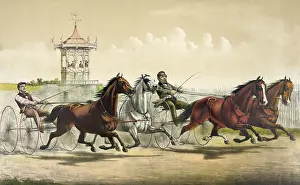 Trot: A great double team trot