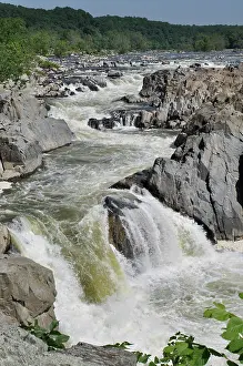 Piedmont: Great Falls, Potomac