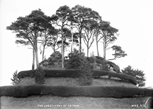 Bushes: The Great fort of Antrim