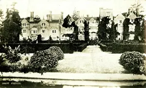 Hedges: Great Fosters, Egham, Surrey