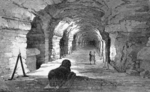 Align: The great gallery, tombs discovered in Sakkara