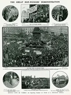 Imports: Great hop-pickers demonstration 1908