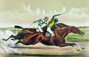 Salvator: Great horses in a great race