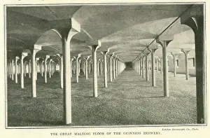 Malting: Great Malting Floor of the Guinness Brewery