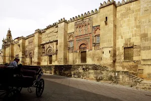 Jalousie: Great Mosque, Cordoba, Spain