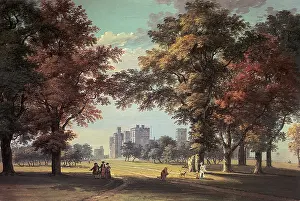 Surrounds: Great Park and Windsor Castle