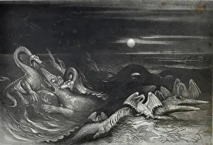 Plesiosaurs: Great Sea Dragons