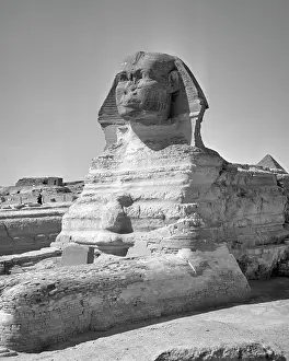 Monolith: The Great Sphinx of Giza Outside of Cairo Egypt