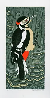 Linocut: Great Spotted Woodpecker