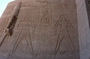 Cartridge: Great Temple of Ramses II. Union between Upper and Lower Egy