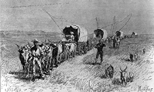 Northeast: The Great Trek of the Boers