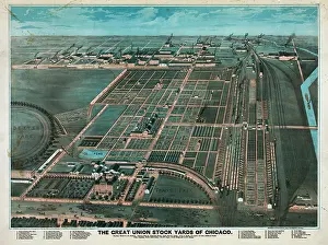 Listing: The Great Union Stock Yards of Chicago