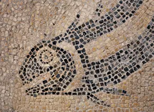 Tewkesbury: Great Witcombe Roman Villa, Great Witcombe, Tewkesbury