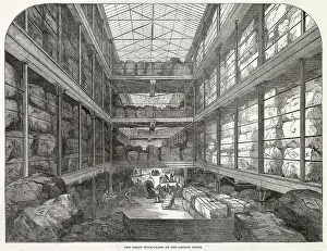 Imports: The Great Wool-floor at the London Docks 1850