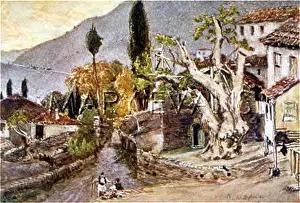 Bassae: GREECE/ANDRITSAENA 1906
