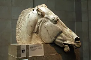 Parthenon: Greece. Athens. Parthenon. Head of horse from the chariot of