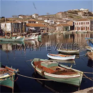 Lesbos: GREECE/LESBOS/MOLIVOS