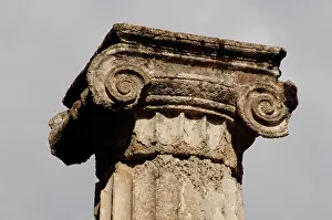 Fluted: Greek Art. Sanctuary of Olympia. Ionic column at the Palaest