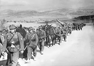 Metaxas: Greek campaign, 1941