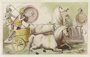 Haunches: GREEK CHARIOTEERS