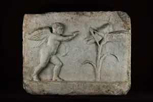 Lapidary: Greek relief, Musee Lapidaire, Avignon, Provence, France