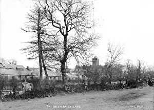 Bleach: The Green, Ballyclare