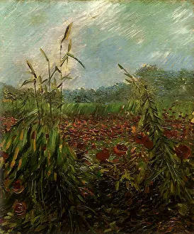 Gogh: Green Ears of Wheat, by Van Gogh
