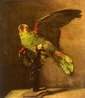Occupies: Green Parrot on Perch, by Van Gogh