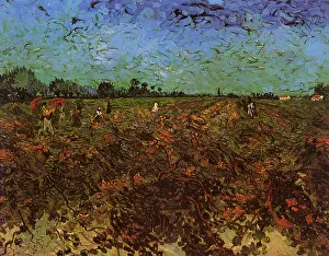 Vines: The Green Vineyard, by Van Gogh