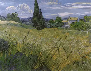 Cypress: Green Wheat Field with Cypress, by Van Gogh